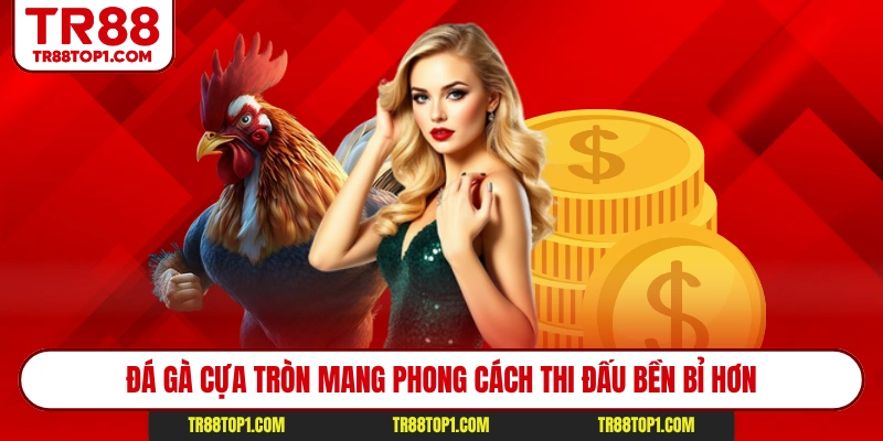 Đá gà cựa tròn mang phong cách thi đấu bền bỉ hơn