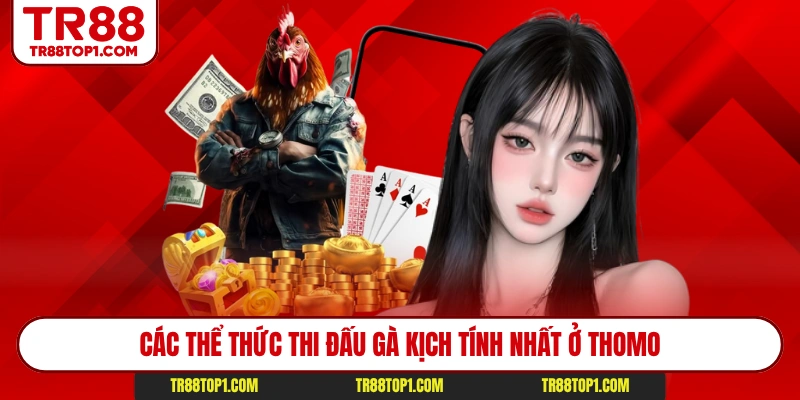 Các thể thức thi đấu gà kịch tính nhất ở Thomo