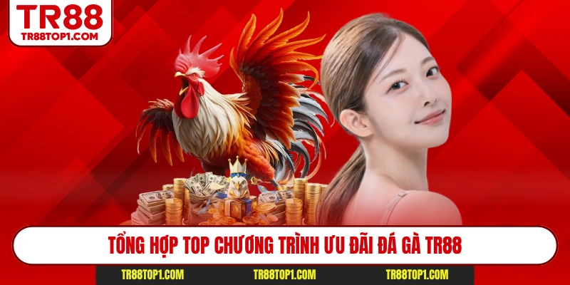 Tổng hợp top chương trình ưu đãi đá gà TR88 Tổng hợp top chương trình ưu đãi đá gà TR88
