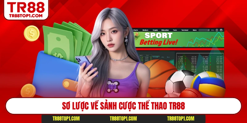 Sơ lược về sảnh cược thể thao Tr88
